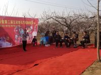 Blossom Festival Hubei