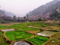 Rice Terraced Field, Longsheng, China